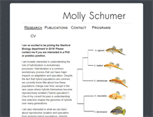 Tablet Screenshot of mollyschumer.com